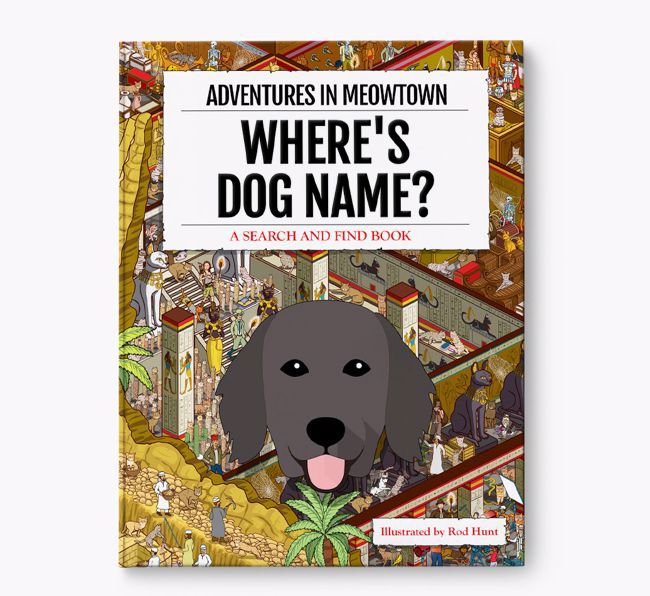 Personalised Flat-Coated Retriever Book: Where's Dog Name? Volume 2